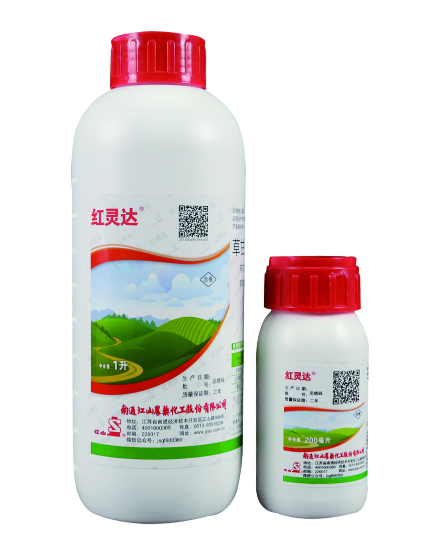 大富豪娱乐城