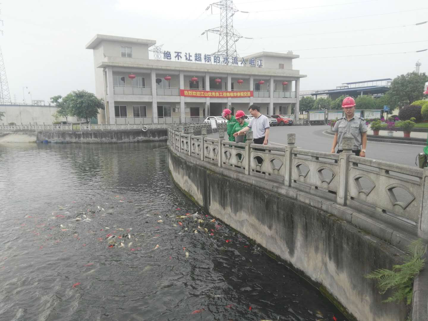 大富豪娱乐城